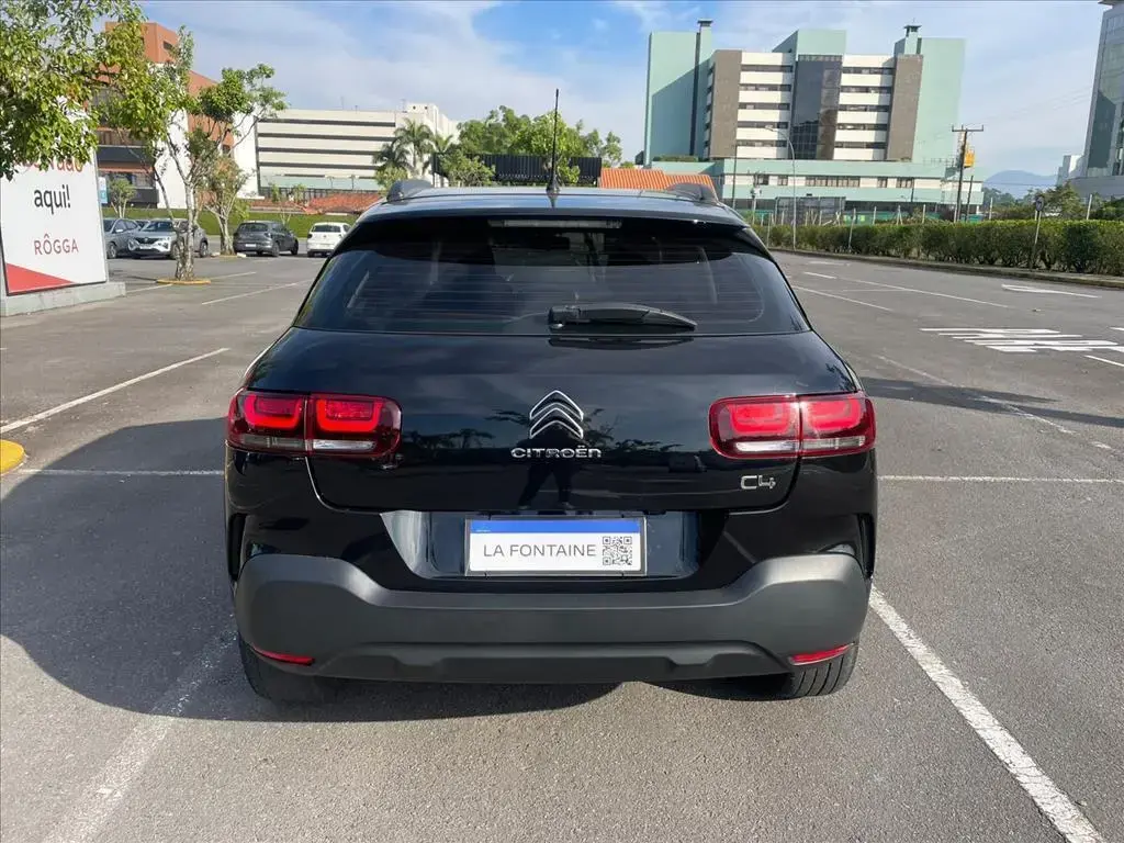 galeria C4 CACTUS