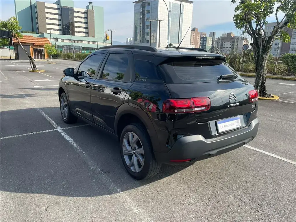 galeria C4 CACTUS