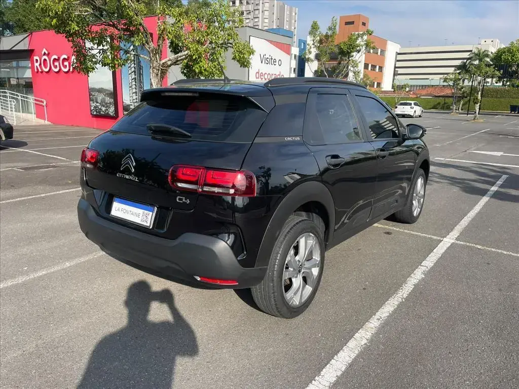 galeria C4 CACTUS