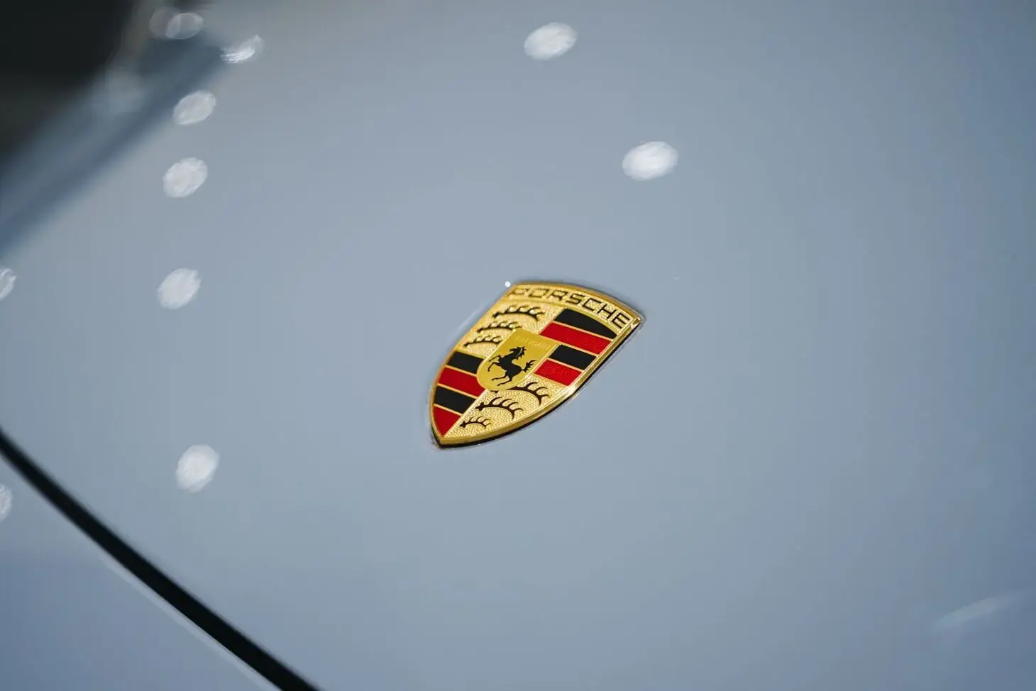 galeria 911
