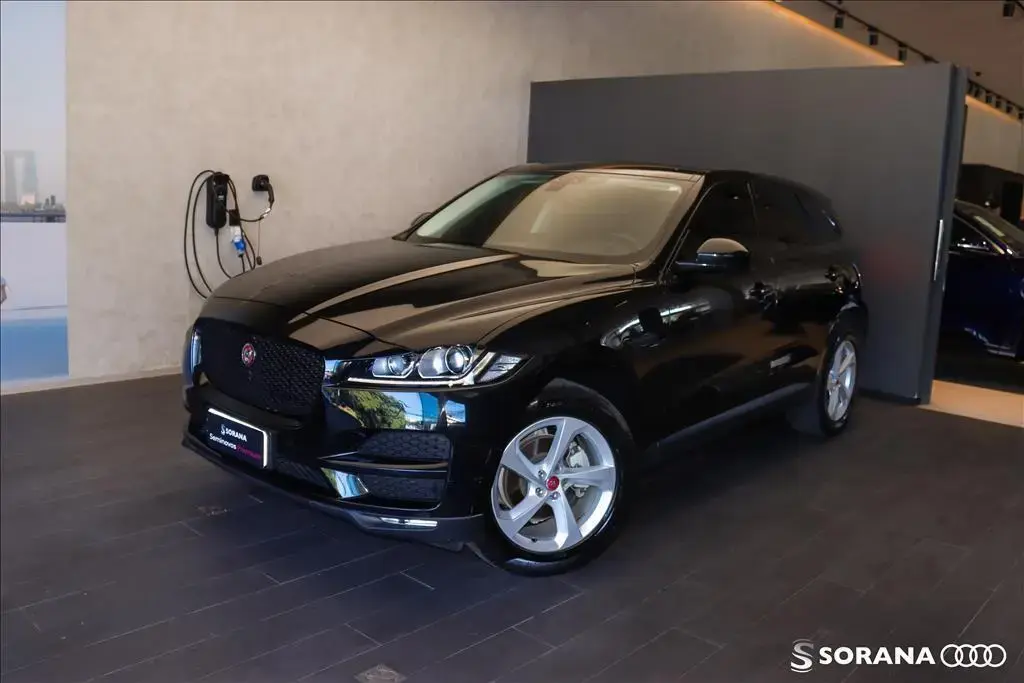 galeria F-PACE