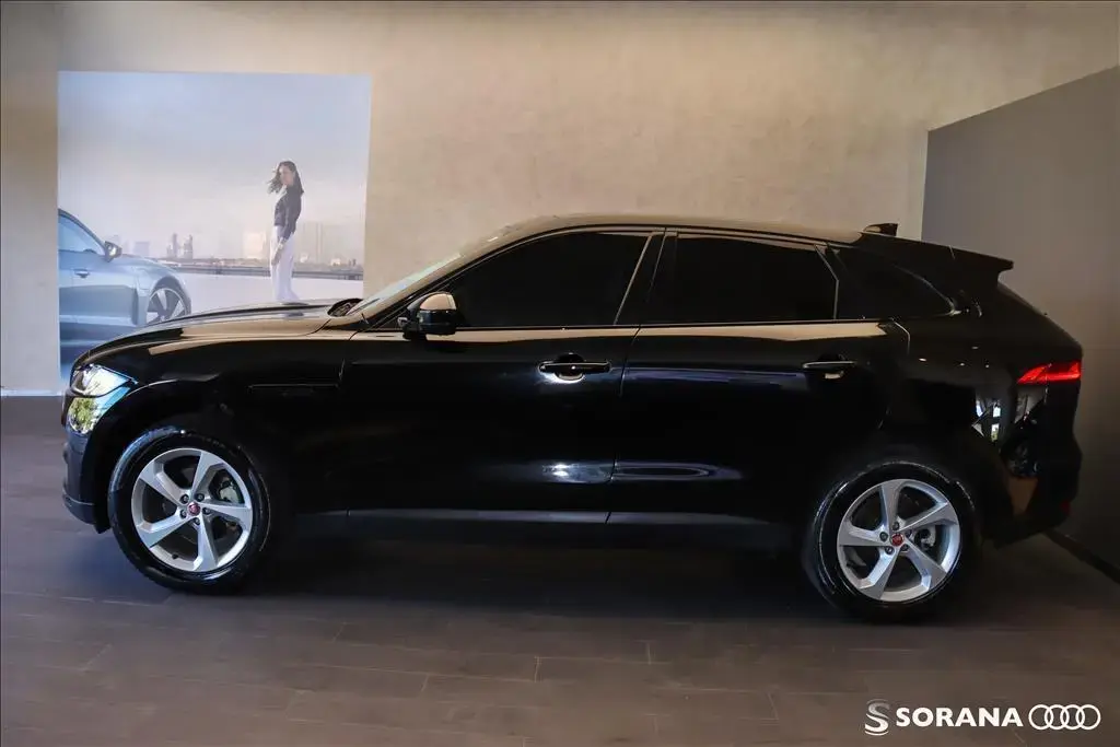 galeria F-PACE