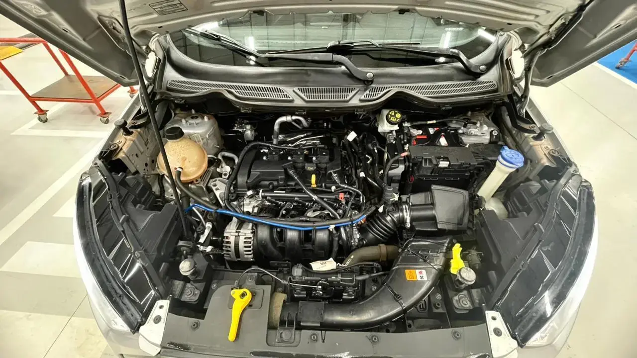 galeria ECOSPORT SE