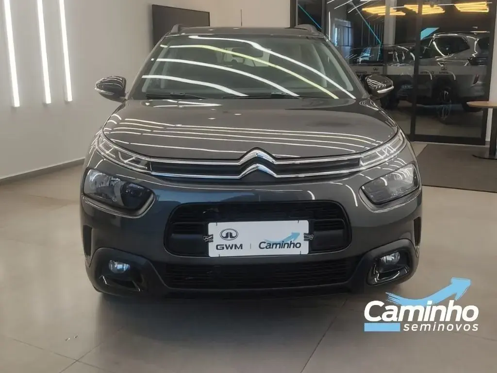 galeria C4 CACTUS