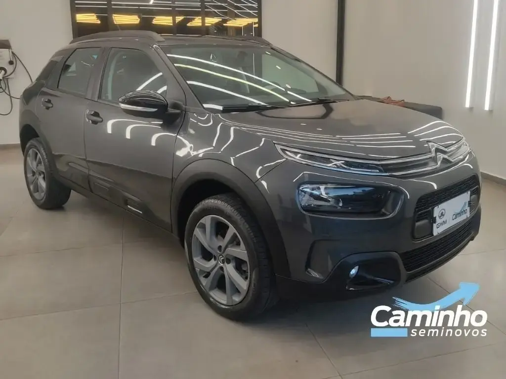 galeria C4 CACTUS