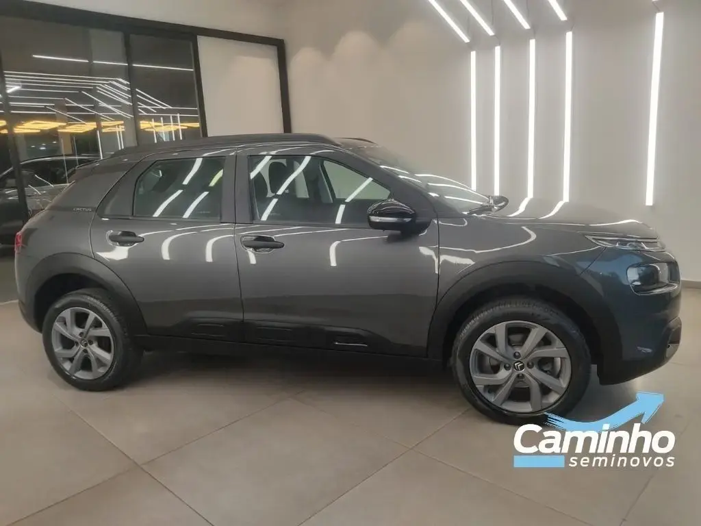 galeria C4 CACTUS