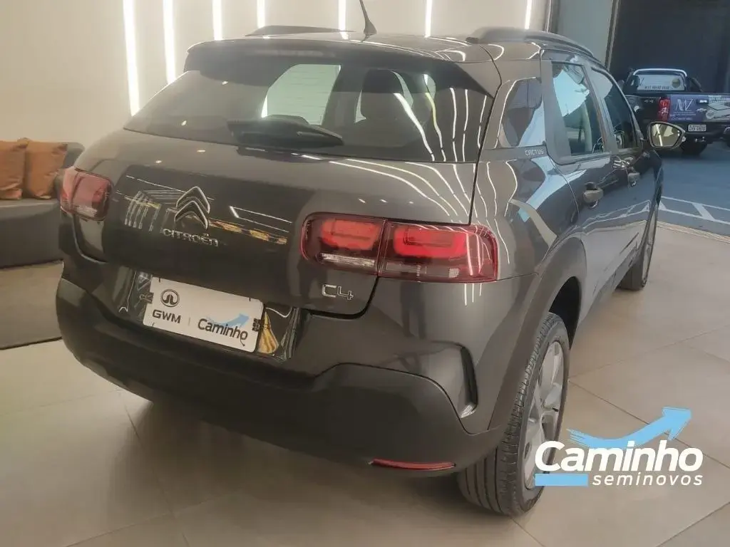 galeria C4 CACTUS