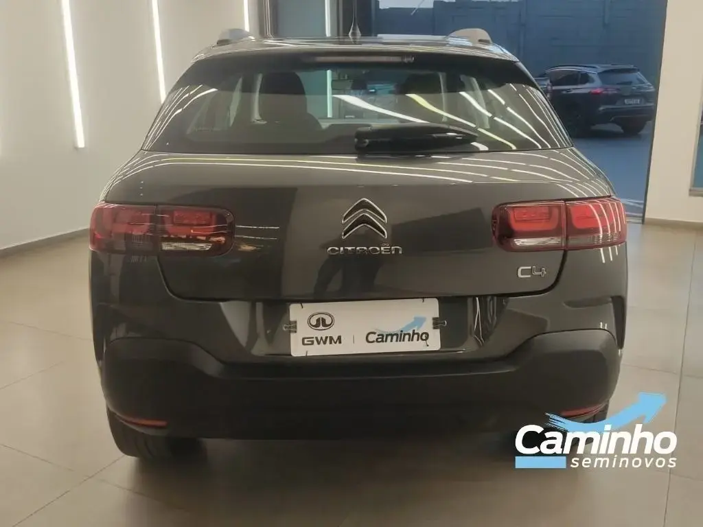 galeria C4 CACTUS