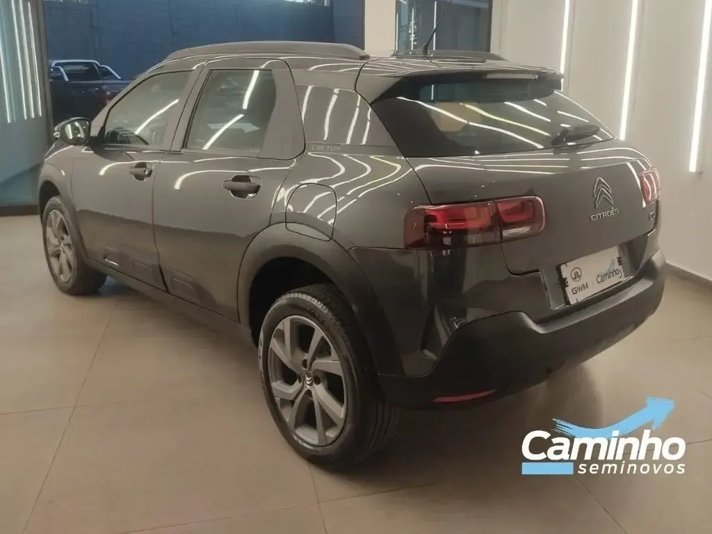 galeria C4 CACTUS