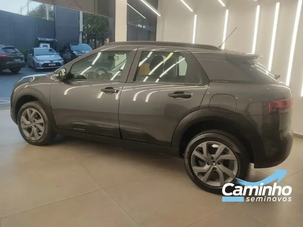 galeria C4 CACTUS
