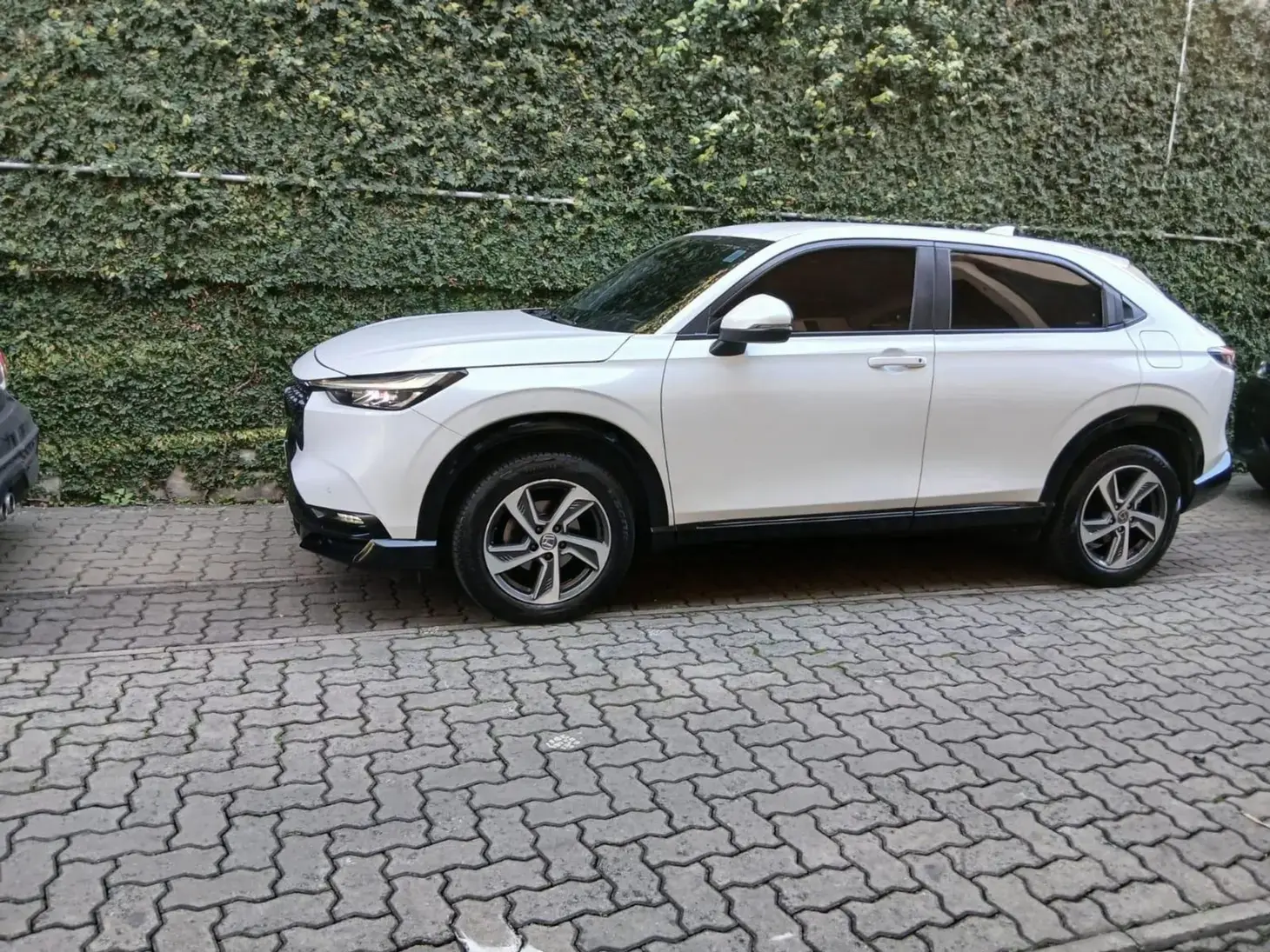 galeria HR-V