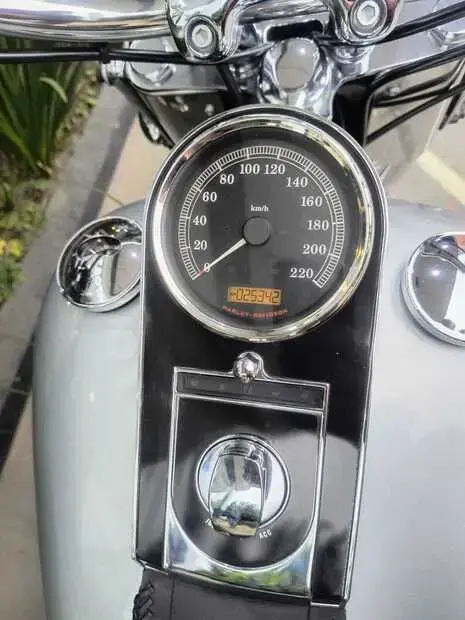Harley Davidson Softail Deluxe Softail De Luxe