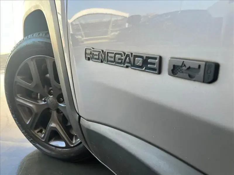 galeria RENEGADE