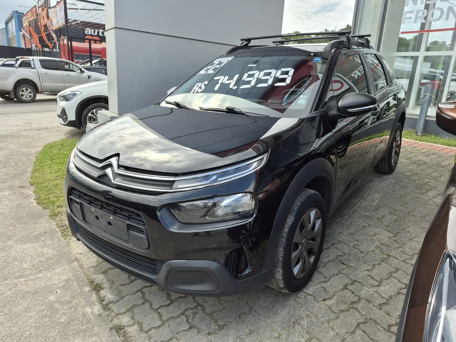 galeria C4 CACTUS