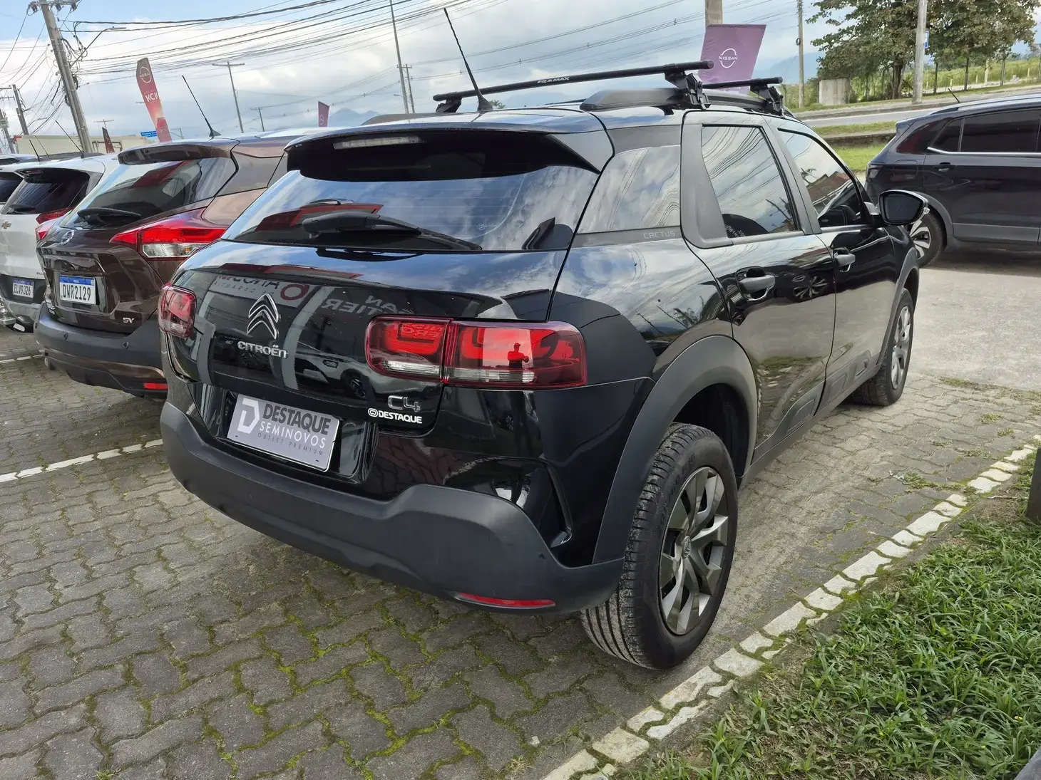 galeria C4 CACTUS