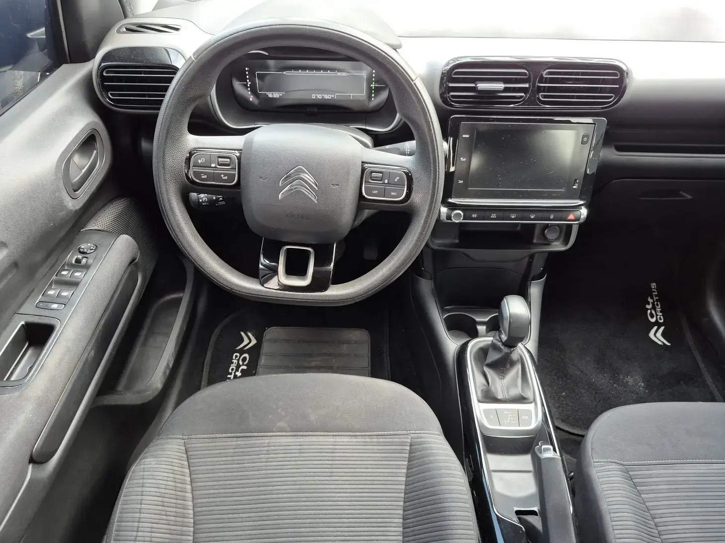 galeria C4 CACTUS
