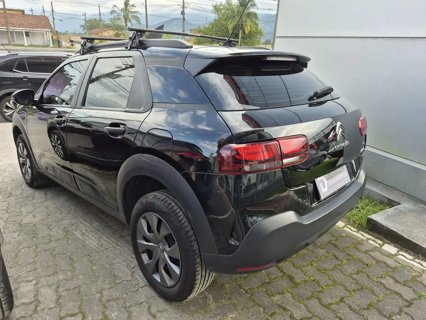 galeria C4 CACTUS
