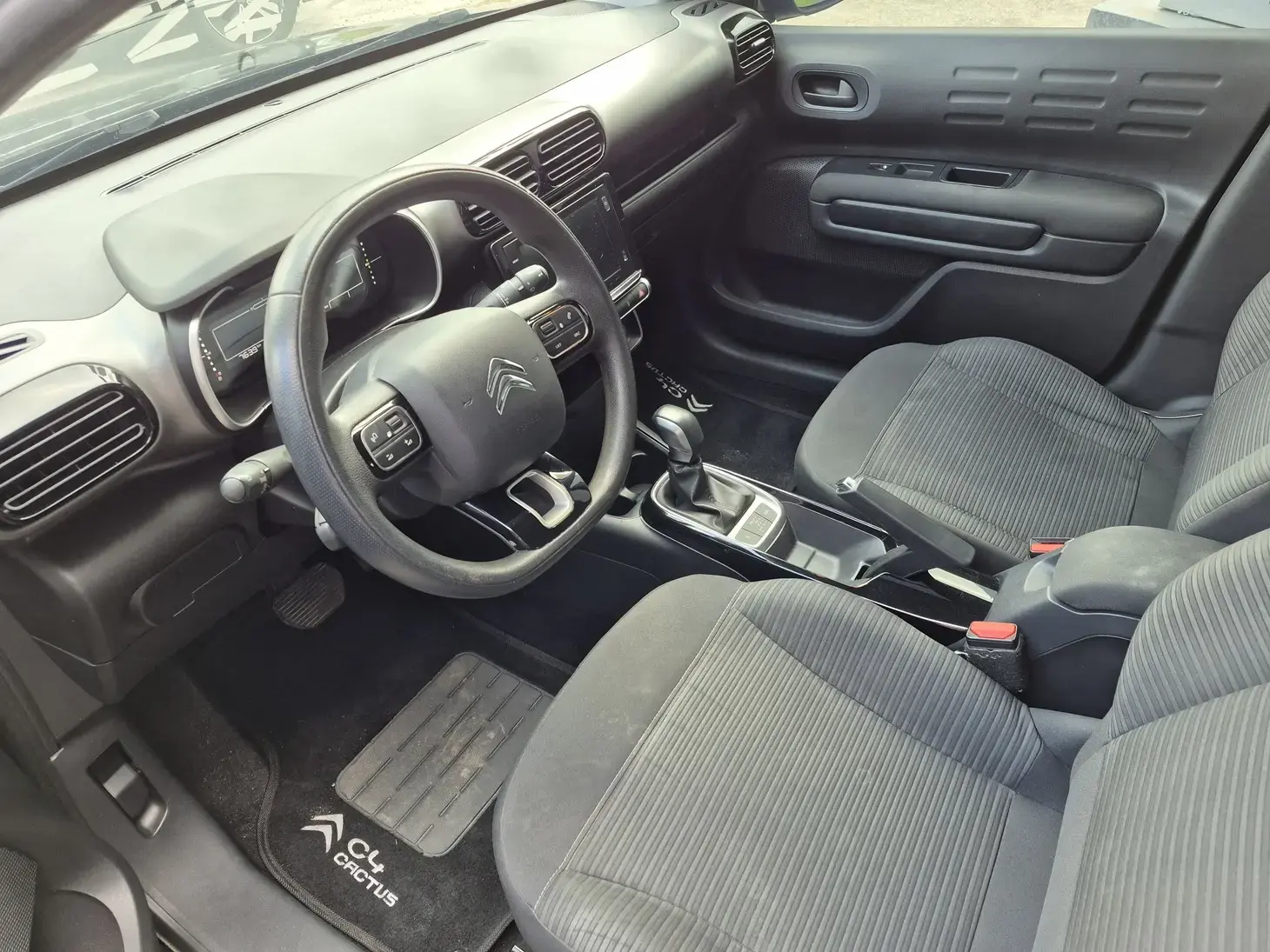 galeria C4 CACTUS