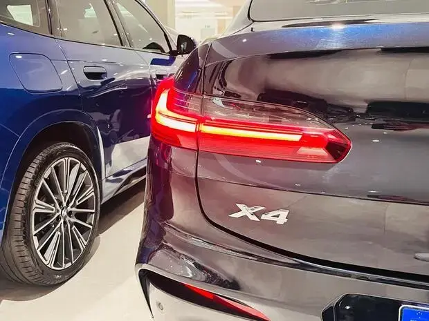 Bmw X4 xDrive30i M Sport 2.0 Turbo (Aut)