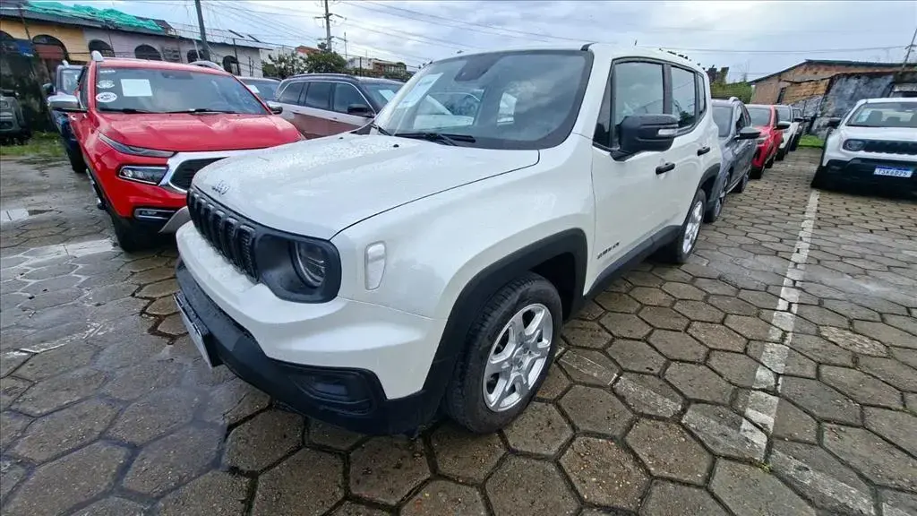 galeria RENEGADE
