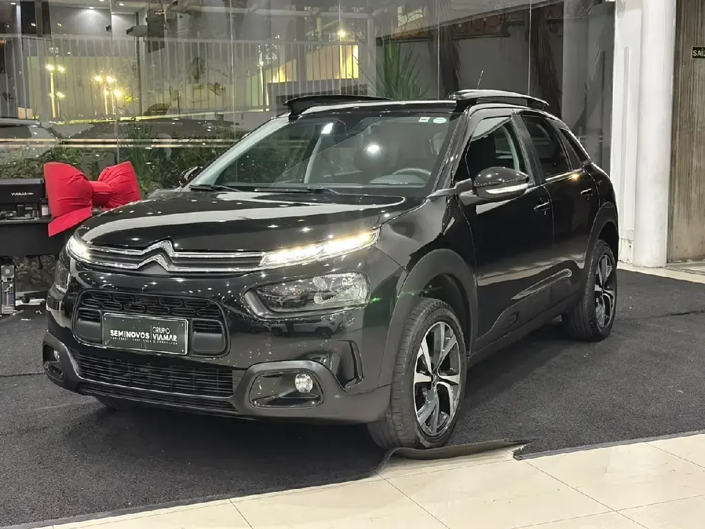 galeria C4 CACTUS