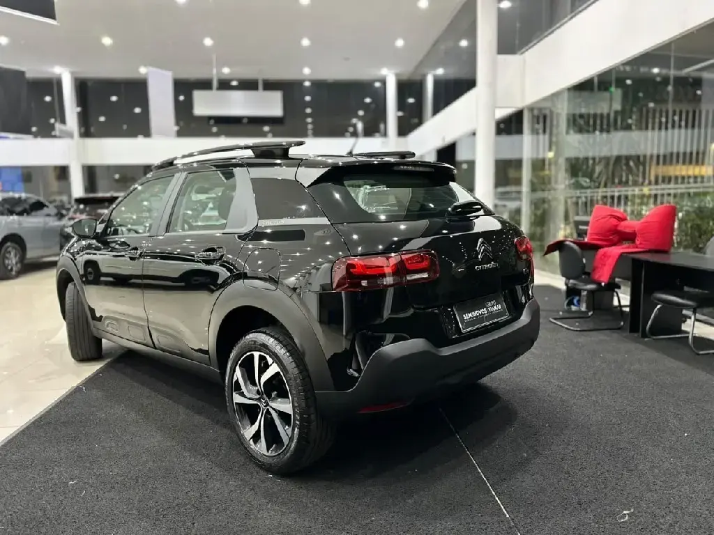 galeria C4 CACTUS