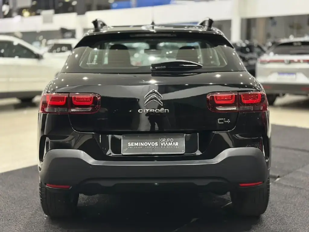 galeria C4 CACTUS