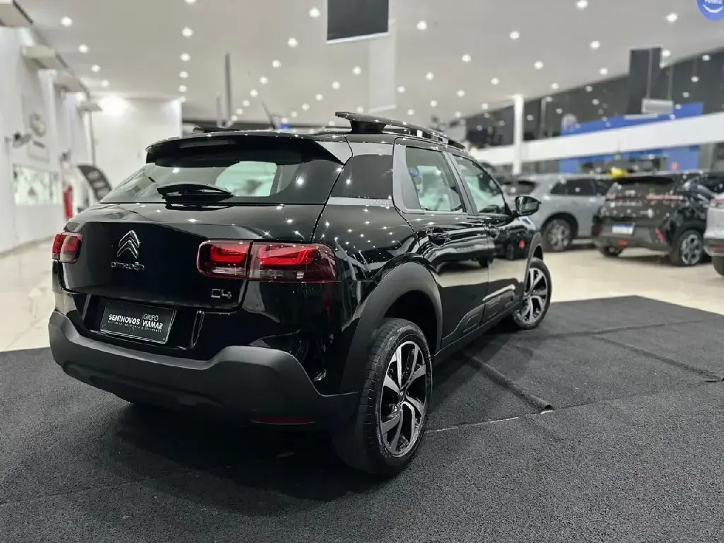 galeria C4 CACTUS