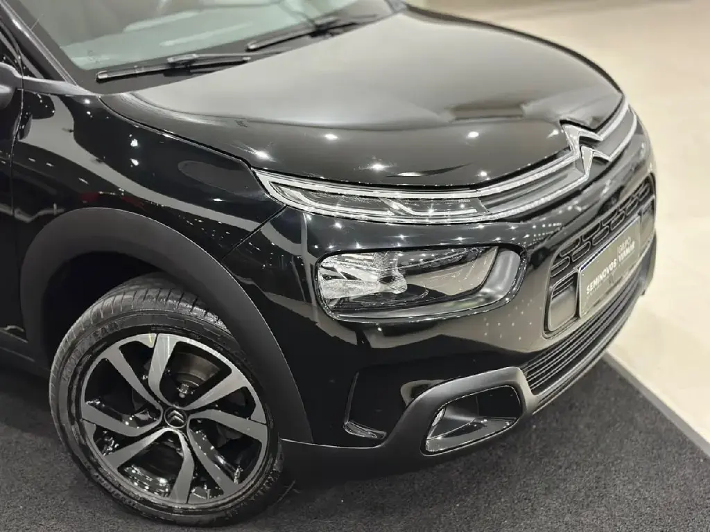 galeria C4 CACTUS