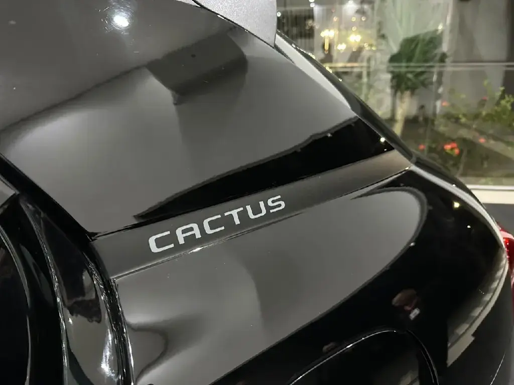 galeria C4 CACTUS