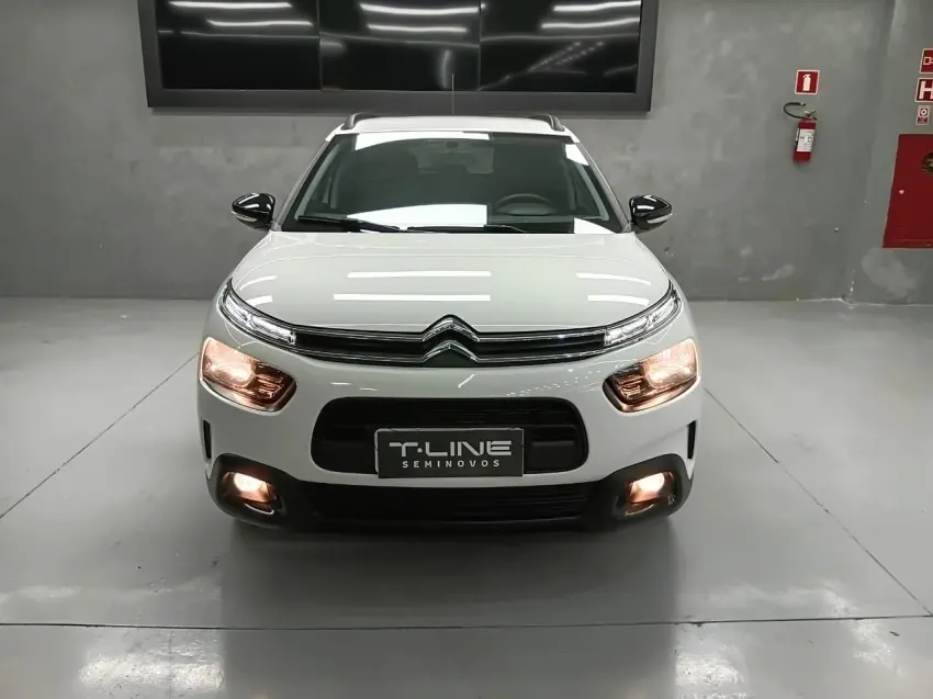 galeria C4 CACTUS