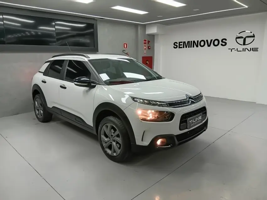 galeria C4 CACTUS