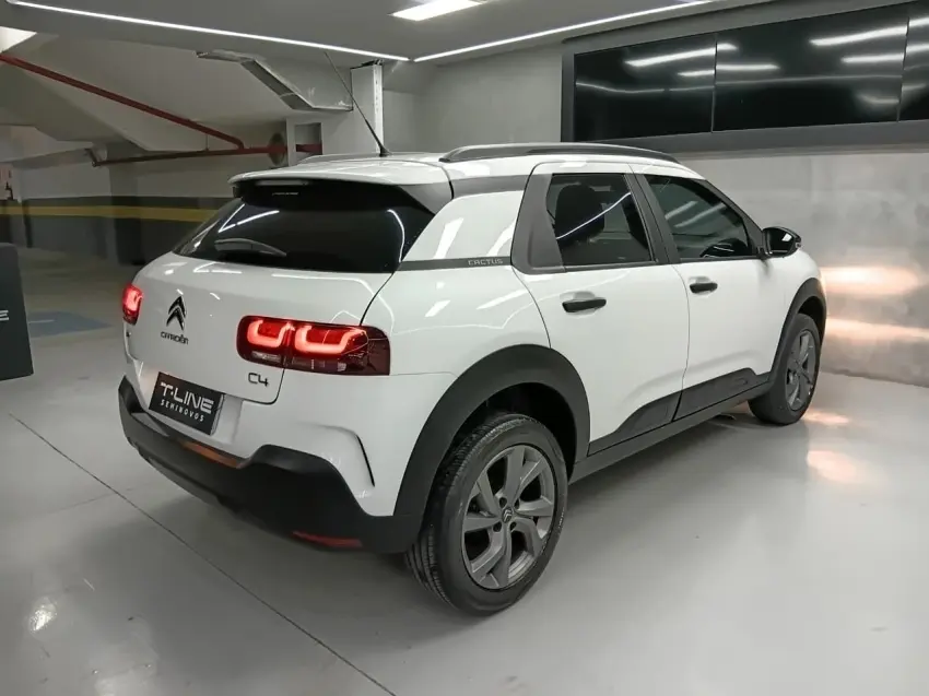galeria C4 CACTUS