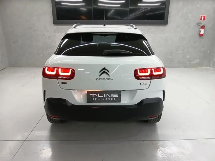 galeria C4 CACTUS