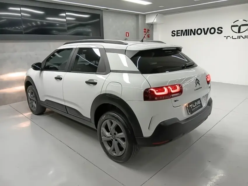 galeria C4 CACTUS