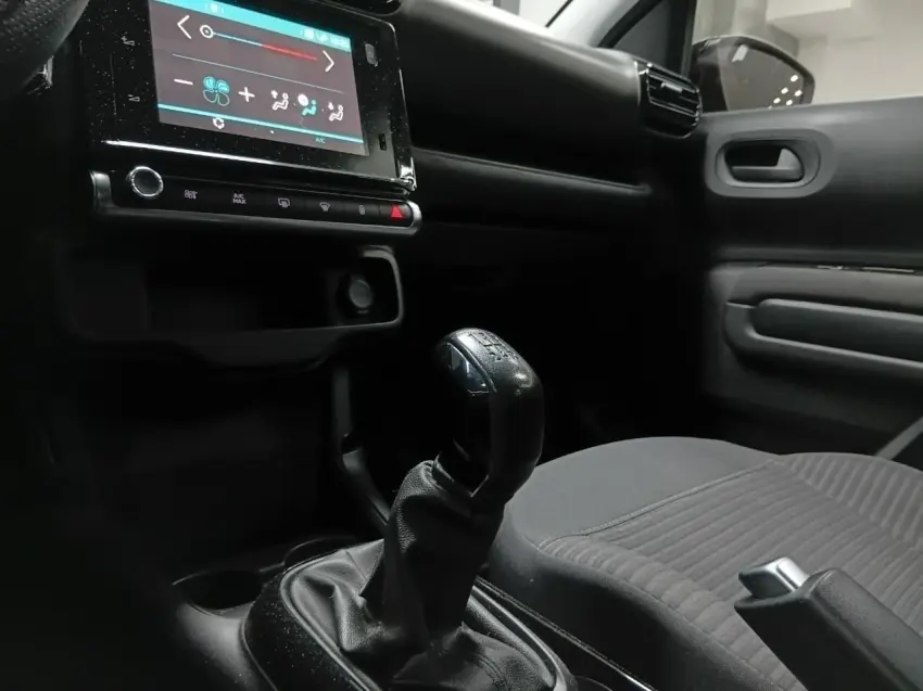 galeria C4 CACTUS