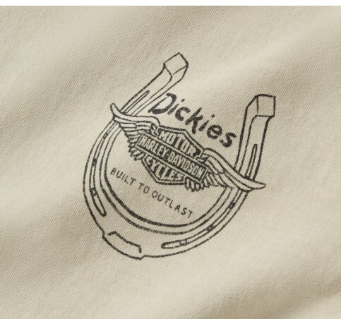 galeria CAMISETA FEMININA DICKIES X H-D VINTAGE COWGIRL