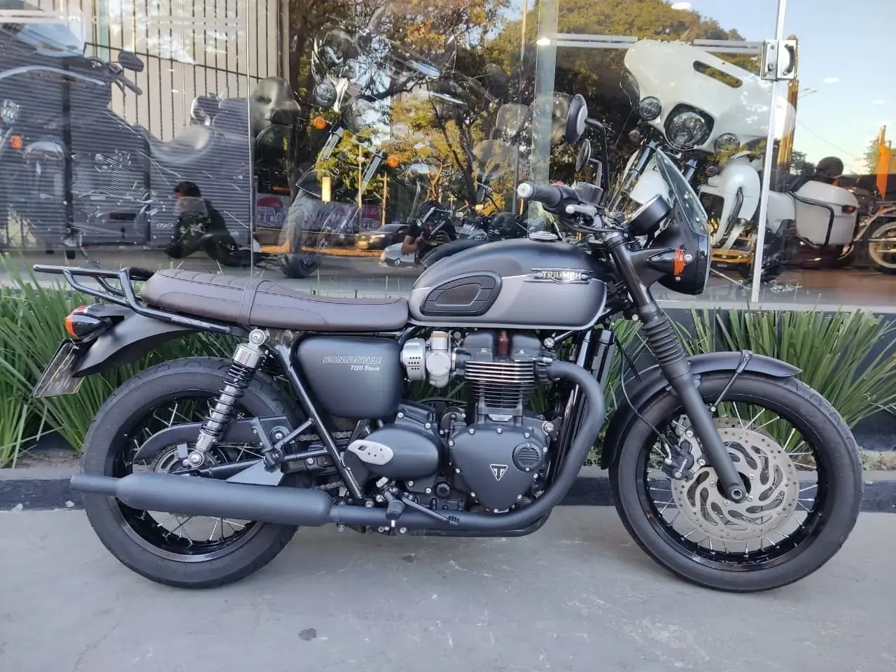 galeria Bonneville T120