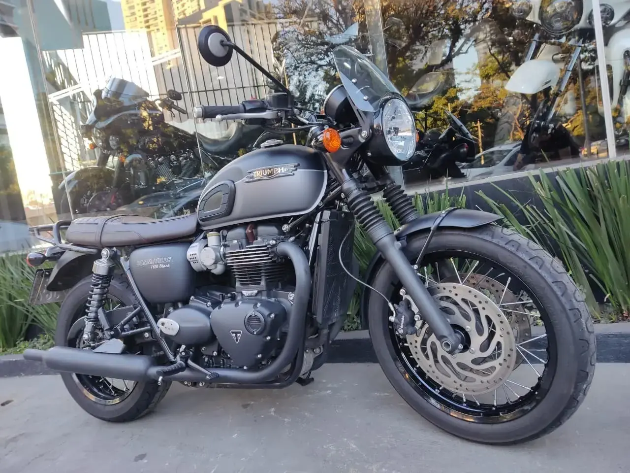 galeria Bonneville T120