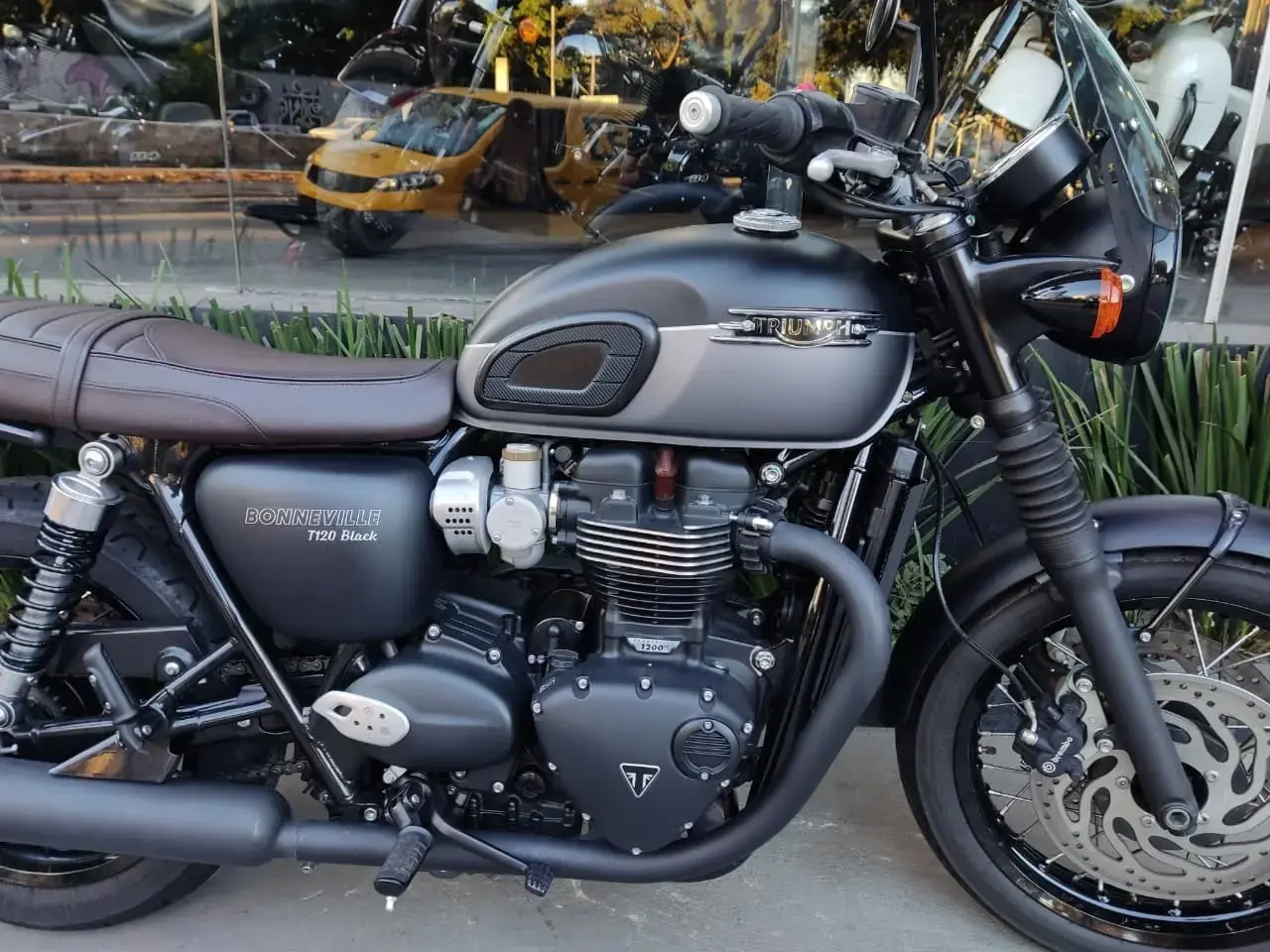 galeria Bonneville T120