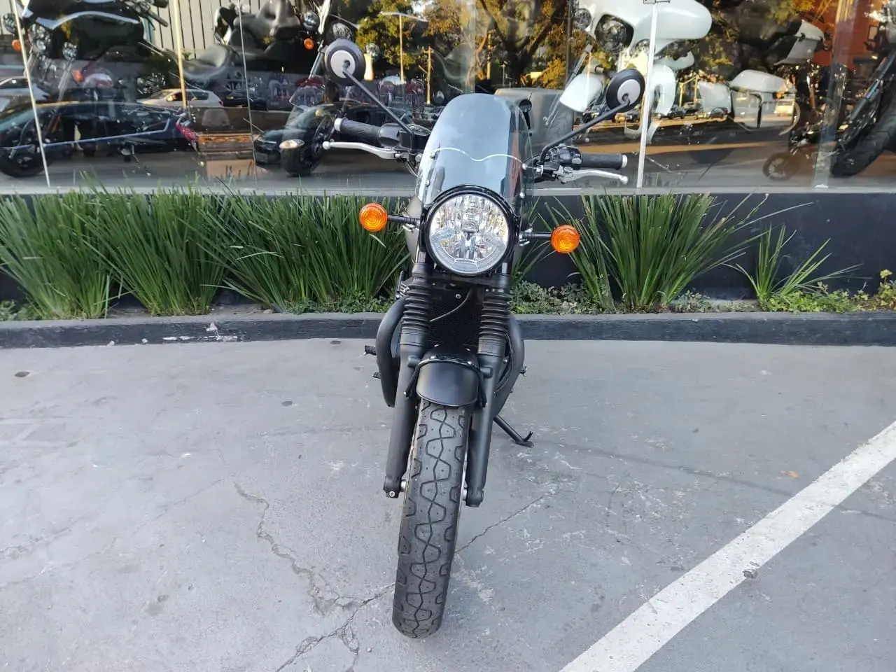 galeria Bonneville T120