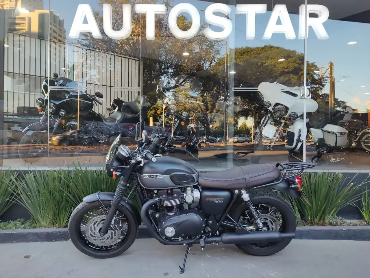 galeria Bonneville T120