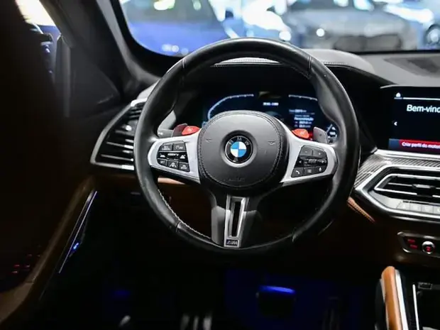 Bmw X6 4.4 M Auto