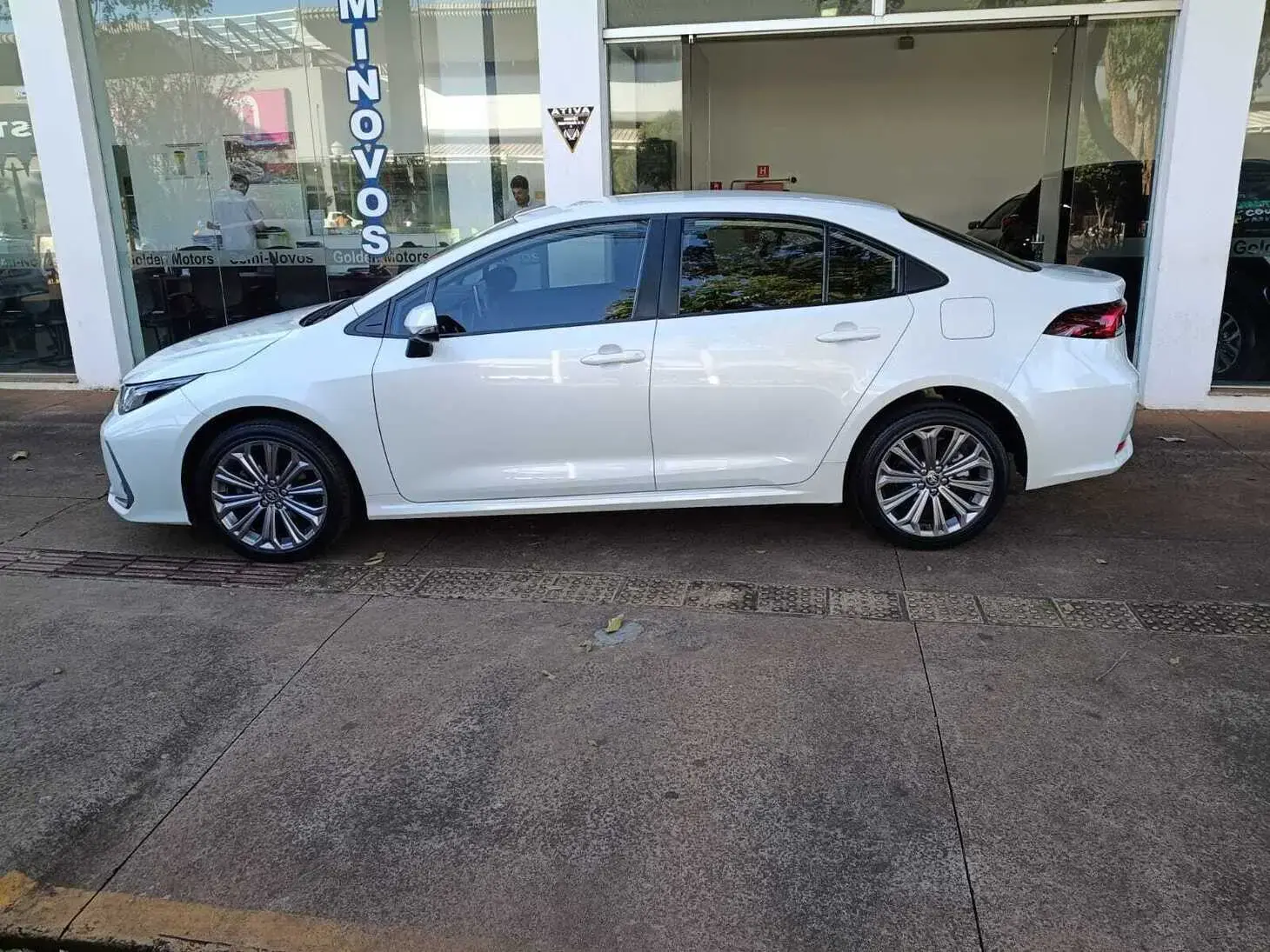 galeria COROLLA