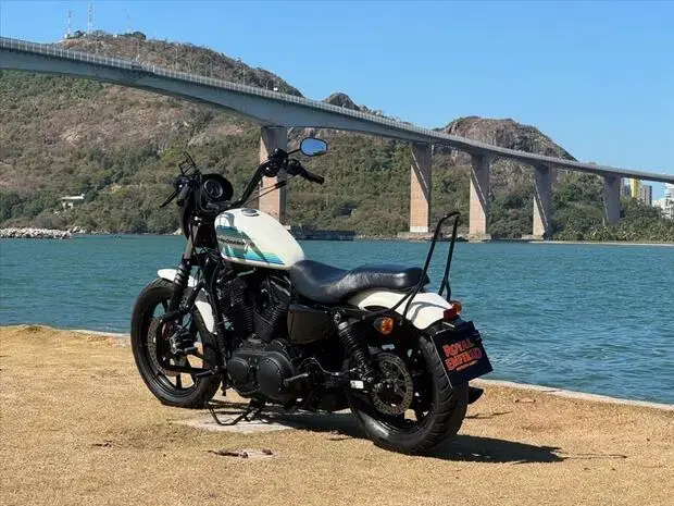 Harley Davidson SPORTSTER IRON 1200