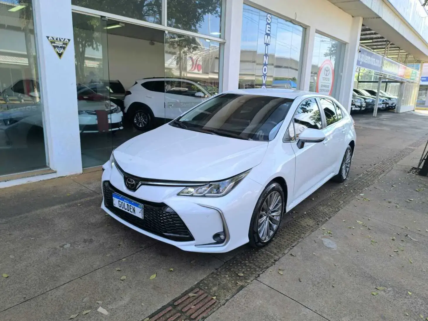 galeria COROLLA