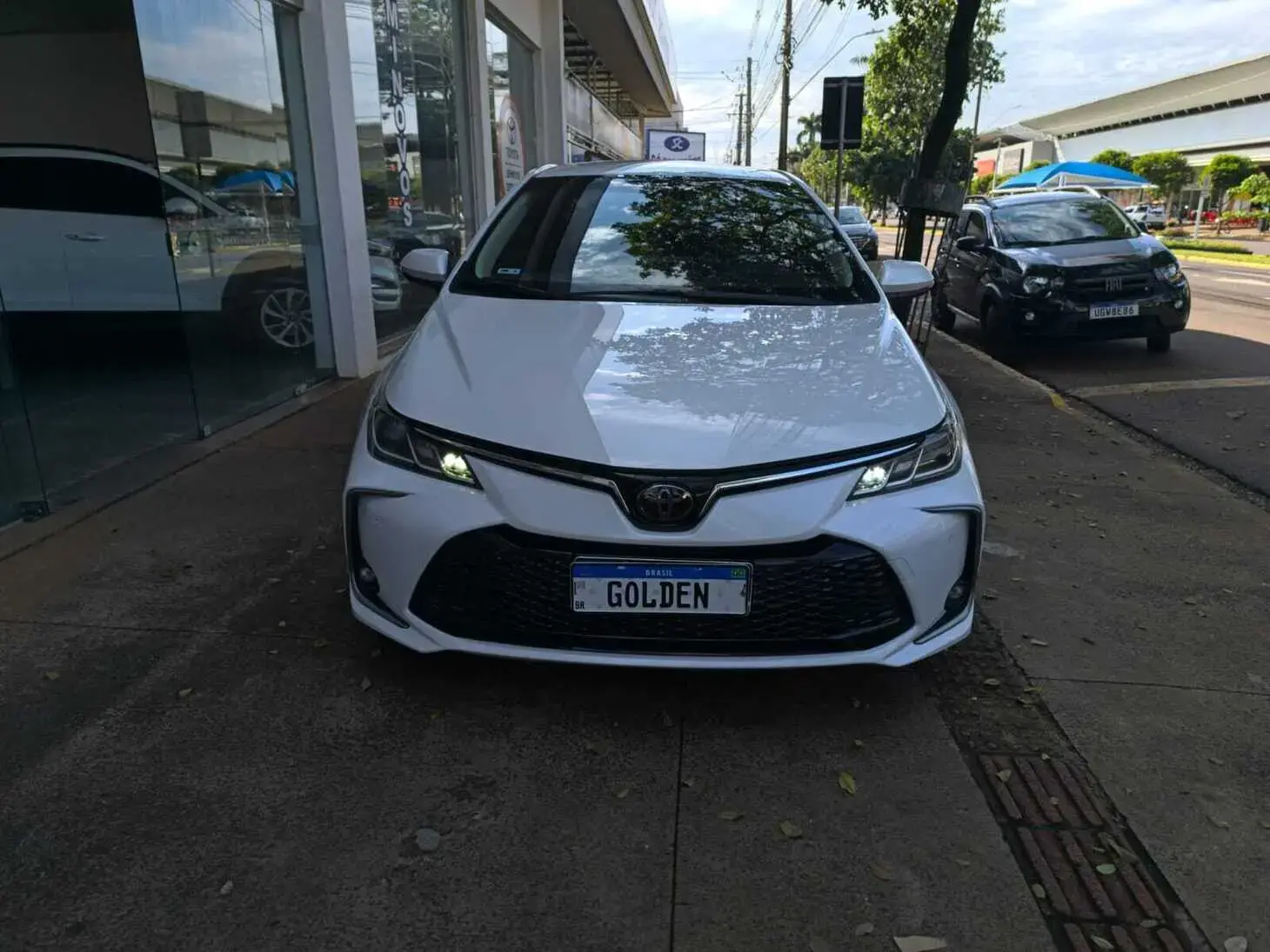 galeria COROLLA