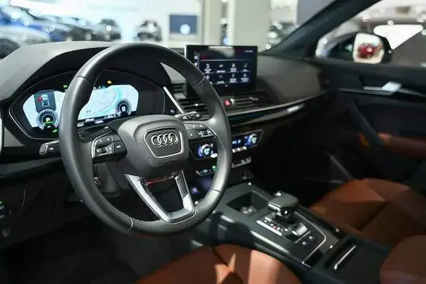Audi Q5 Perf. Black 2.0 TFSIe S.Tr. Qt (Hib.)