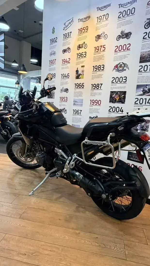 galeria TIGER