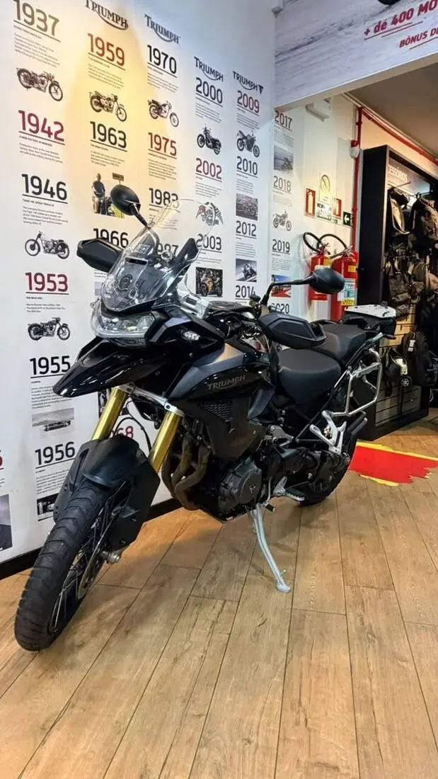 galeria TIGER